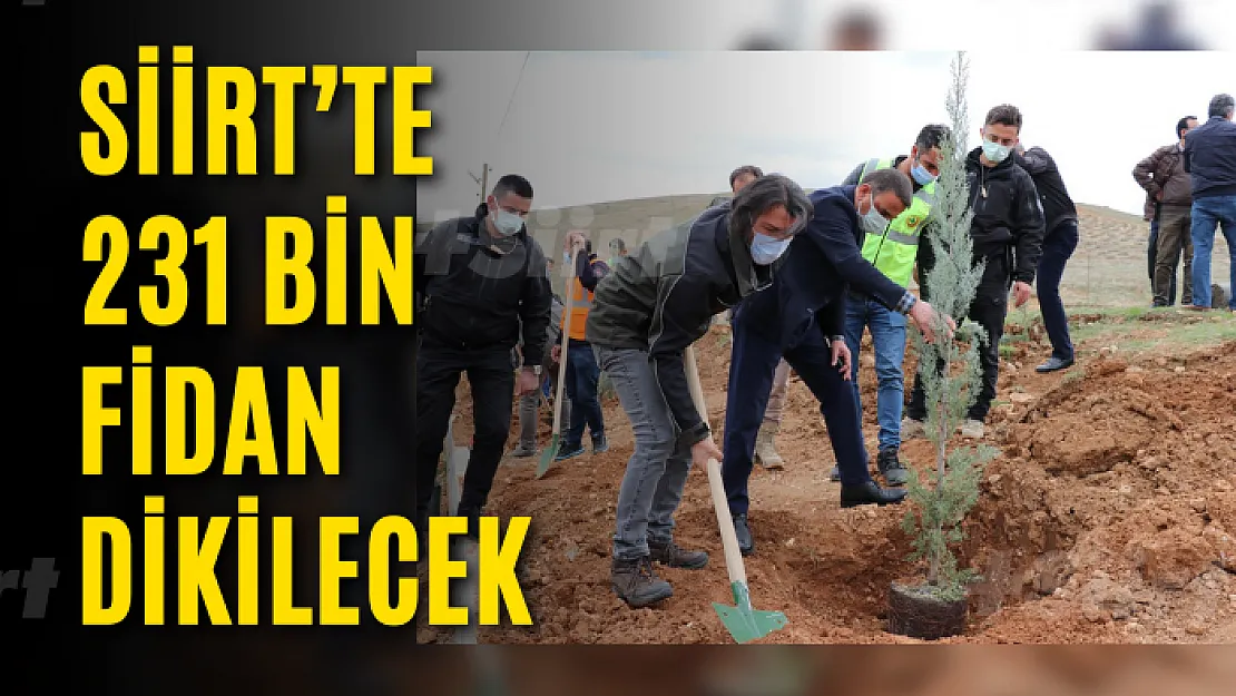 Siirt'te 231 Bin Fidan Dikilecek