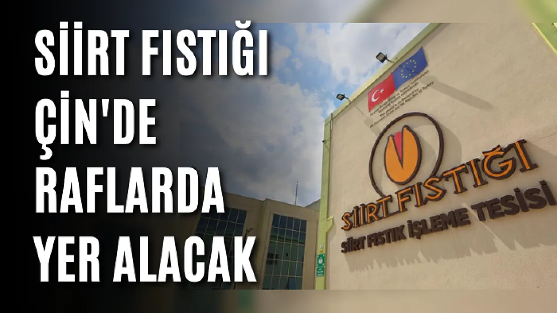 Siirt Fıstığı Çin'de Raflarda Yer Alacak