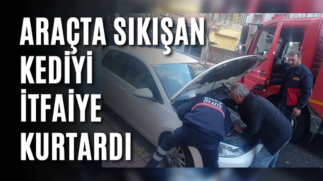 Araçta Sıkışan Kediyi İtfaiye Kurtardı