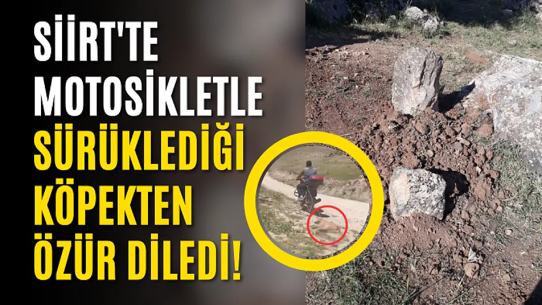 Siirt'te Motosikletle Sürüklediği Köpekten Özür Diledi!