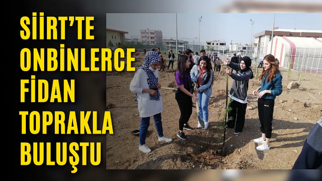 Siirt'te onbinlerce fidan toprakla buluştu