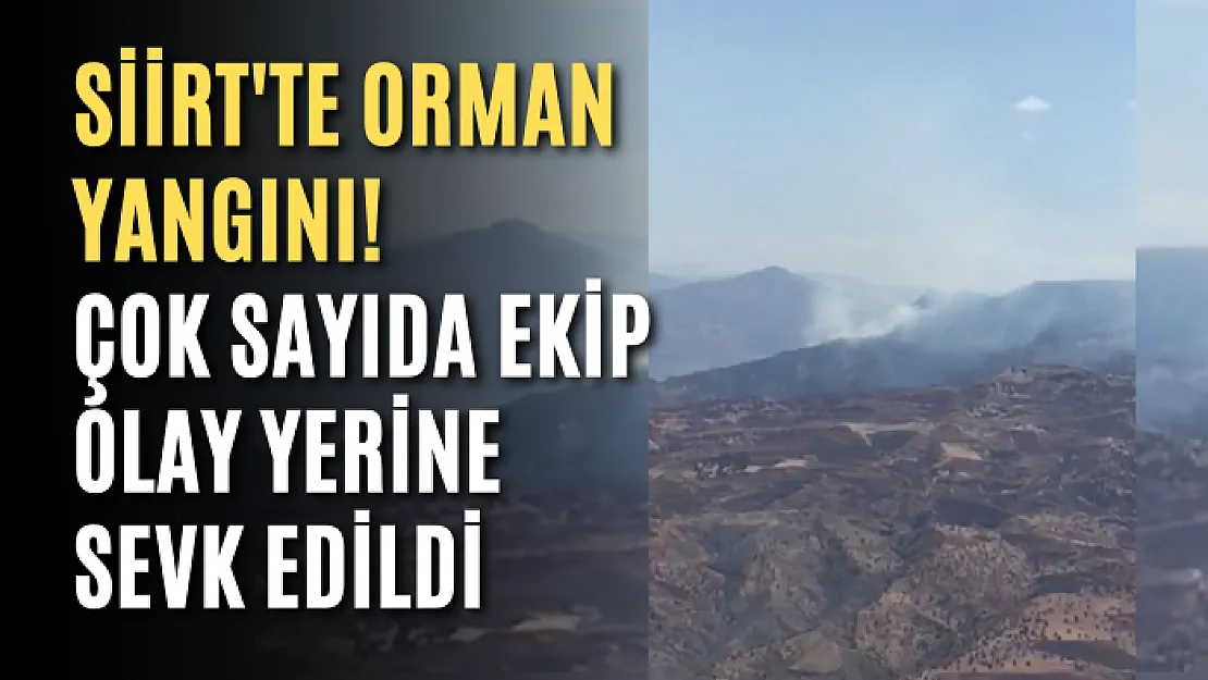 Siirt'te Orman Yangını! Çok Sayıda Ekip Olay Yerine Sevk Edildi