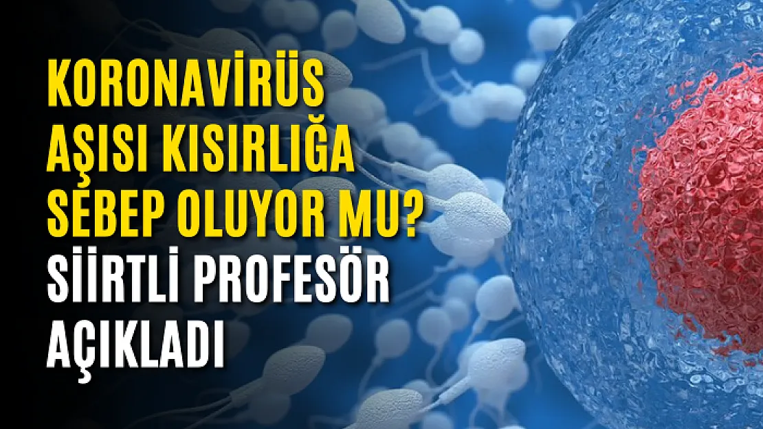 Koronavirüs Aşısı Kısırlığa Sebep Oluyor Mu? Siirtli Profesör Açıkladı