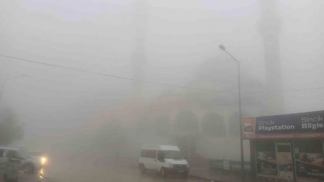 Sincik ilçesinde yoğun sis etkili oldu