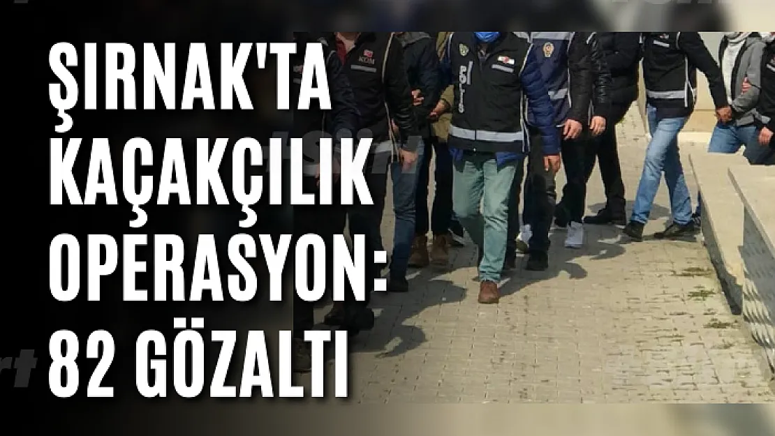 Şırnak'ta kaçakçılık operasyon: 82 gözaltı