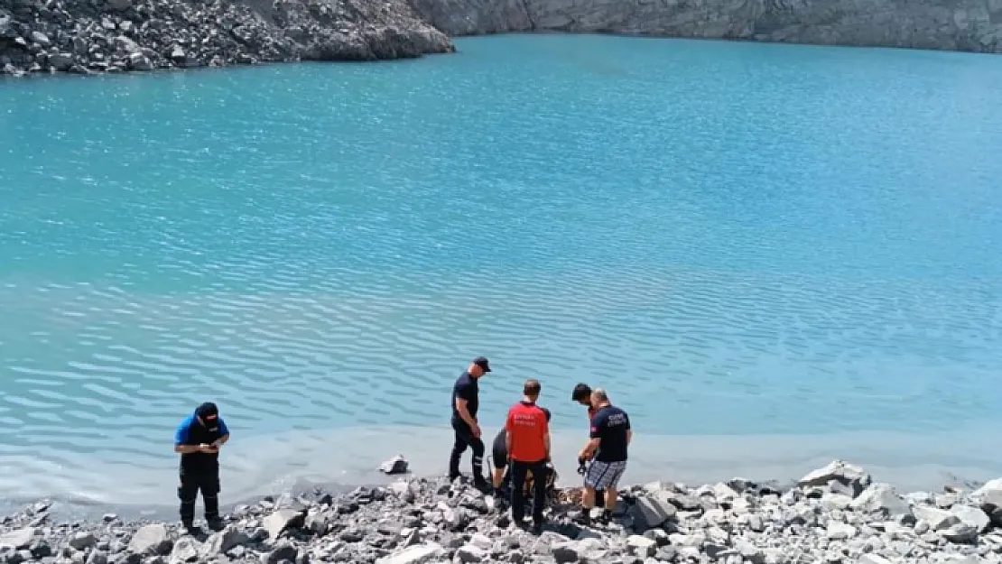 Şırnak'ta kamyonet gölete düştü: Şoför kayıp