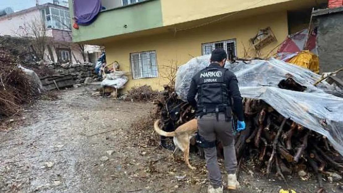 Şırnak'ta uyuşturucu operasyonu: 21 gözaltı