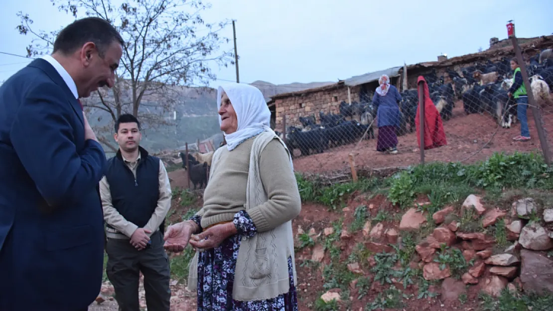 Sitti Nine, Siirt Valisinden, Torununu Evlendirmek İçin Destek İstedi! Vali Sözü Verdi