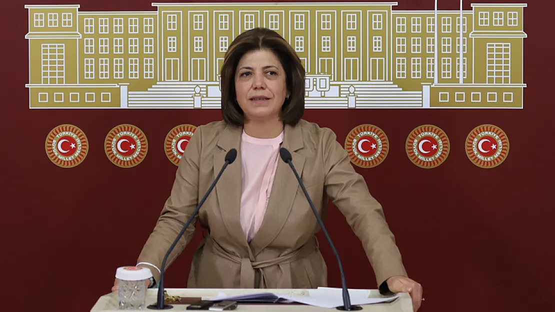 Meral Danış Beştaş: Sağlık Altyapısı Çöktü