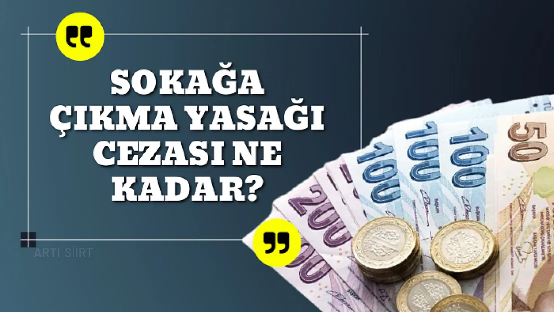 Sokağa çıkma yasağı cezası ne kadar?