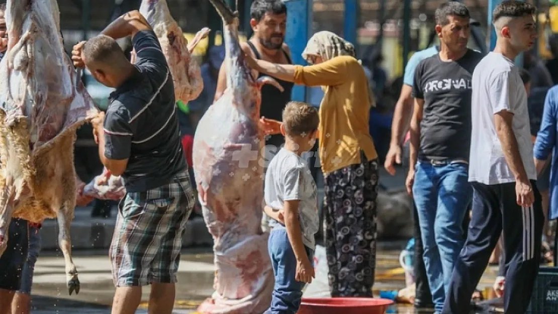 Sokakta kurban kesene para cezası verilecek. Kurban Bayramı'nda park, bahçe, cadde, sokak, bina önleri, meydan gibi umuma açık yerlerde kesim yapanlara ceza yağacak