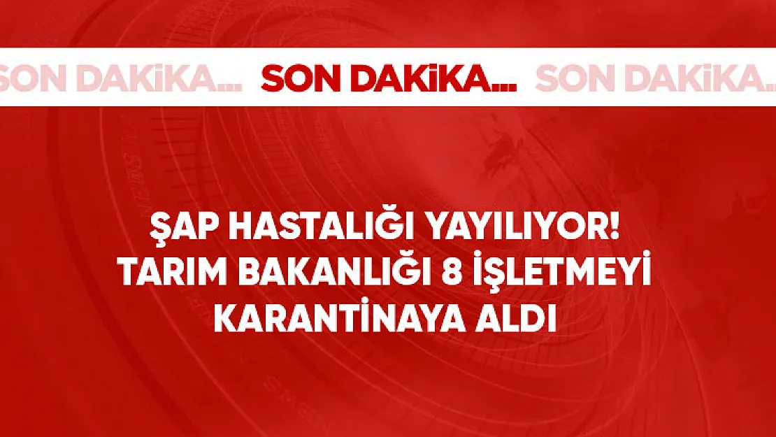 Türkiye'de şap alarmı! Hayvan pazarları kapatıldı, nakiller yasaklandı, tüm izinler iptal edildi