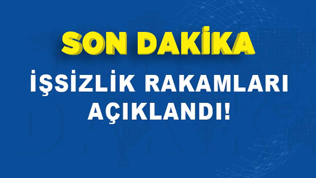 Şubat ayı işsizlik rakamları açıklandı