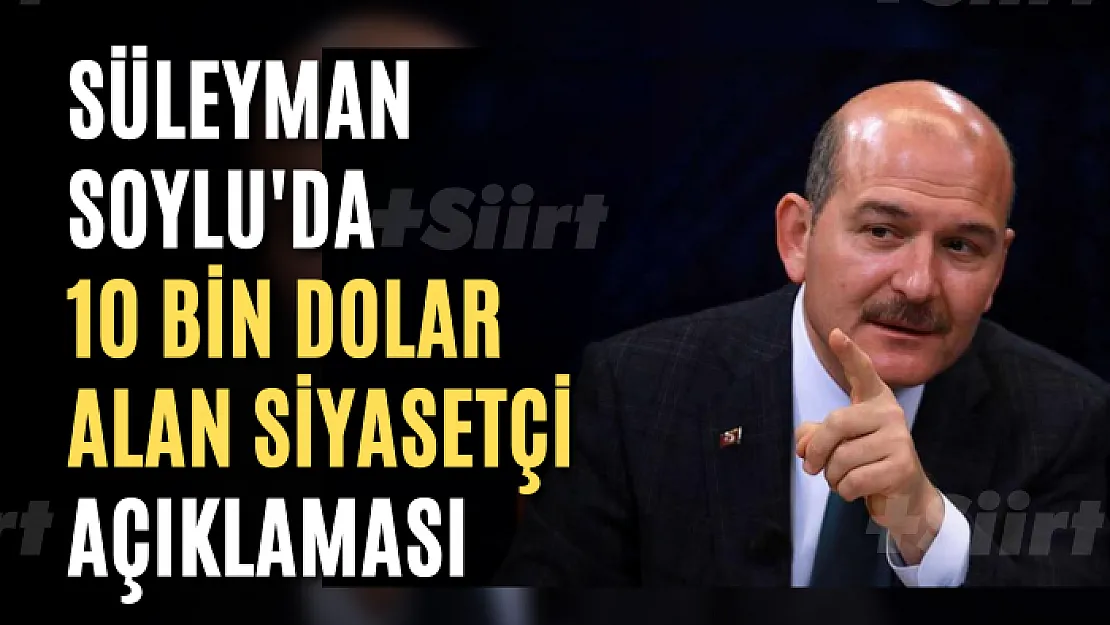 Süleyman Soylu'dan 10 bin dolar alan siyasetçi açıklaması