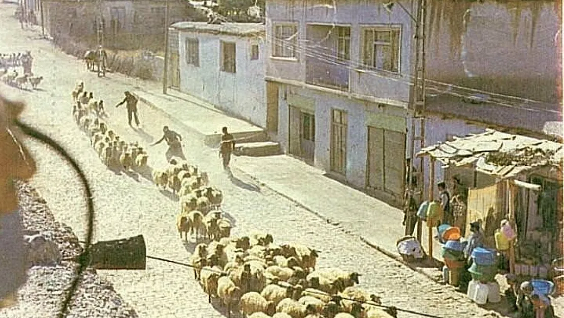 Sürü Filminin Pervari'de Çekilen Unutulmaz Sahnesi ve Siirt'in Sinema Tarihindeki Yeri