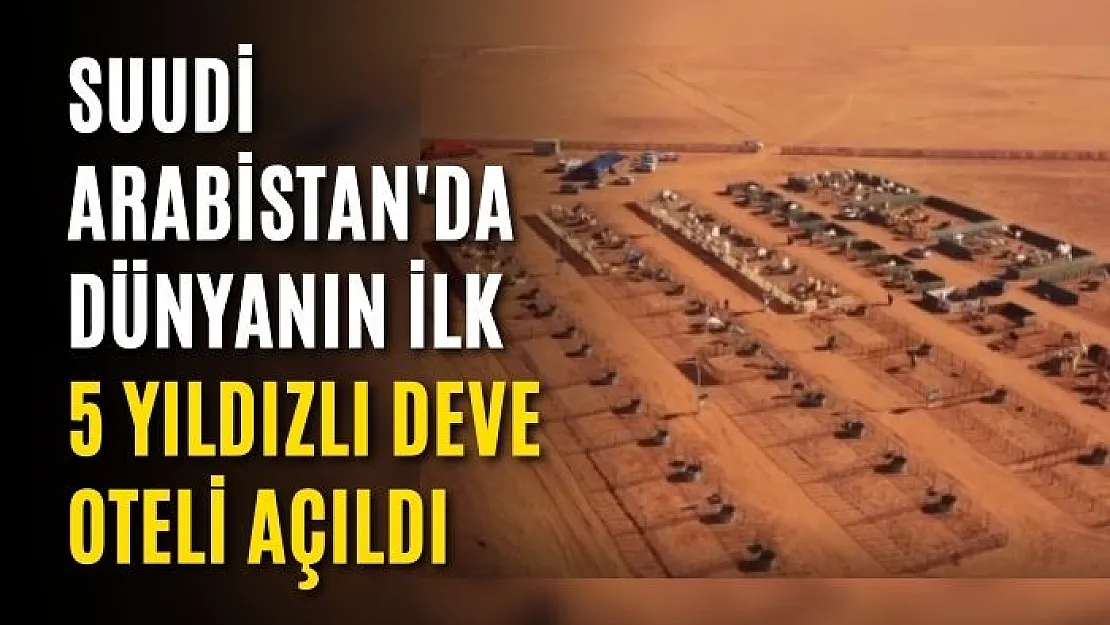 Suudi Arabistan'da dünyanın ilk 5 yıldızlı deve oteli açıldı