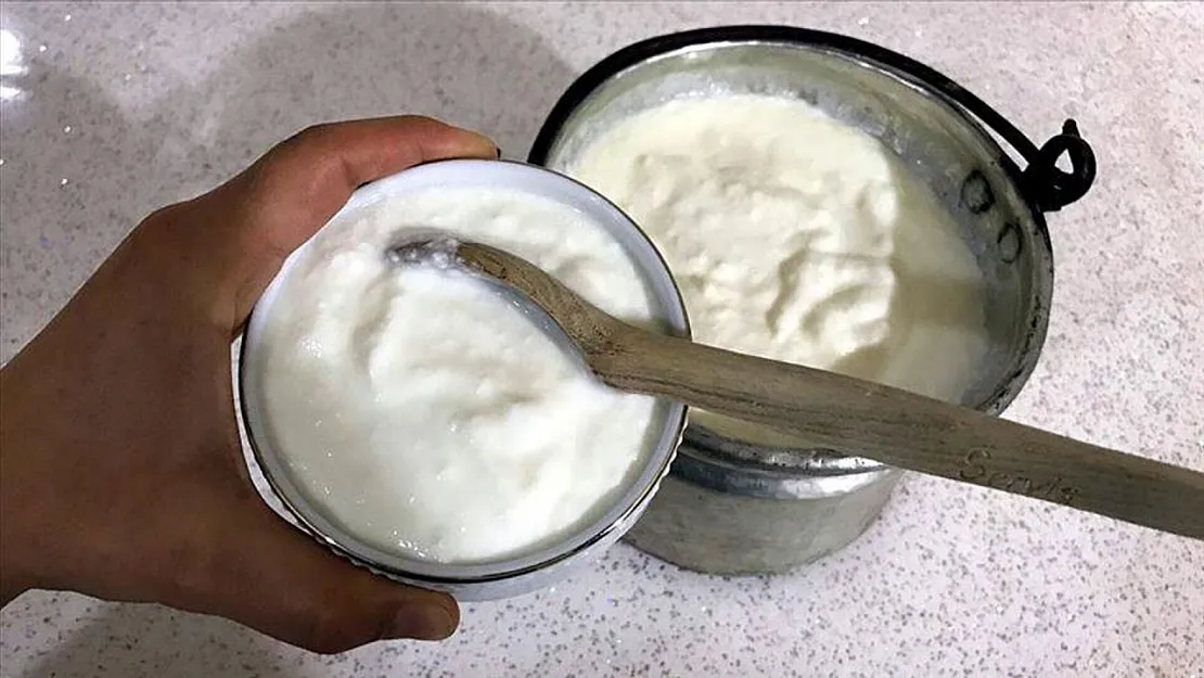 Tarım Bakanlığı yeni listesini açıkladı: Köy yoğurdunda jelatin çıktı!