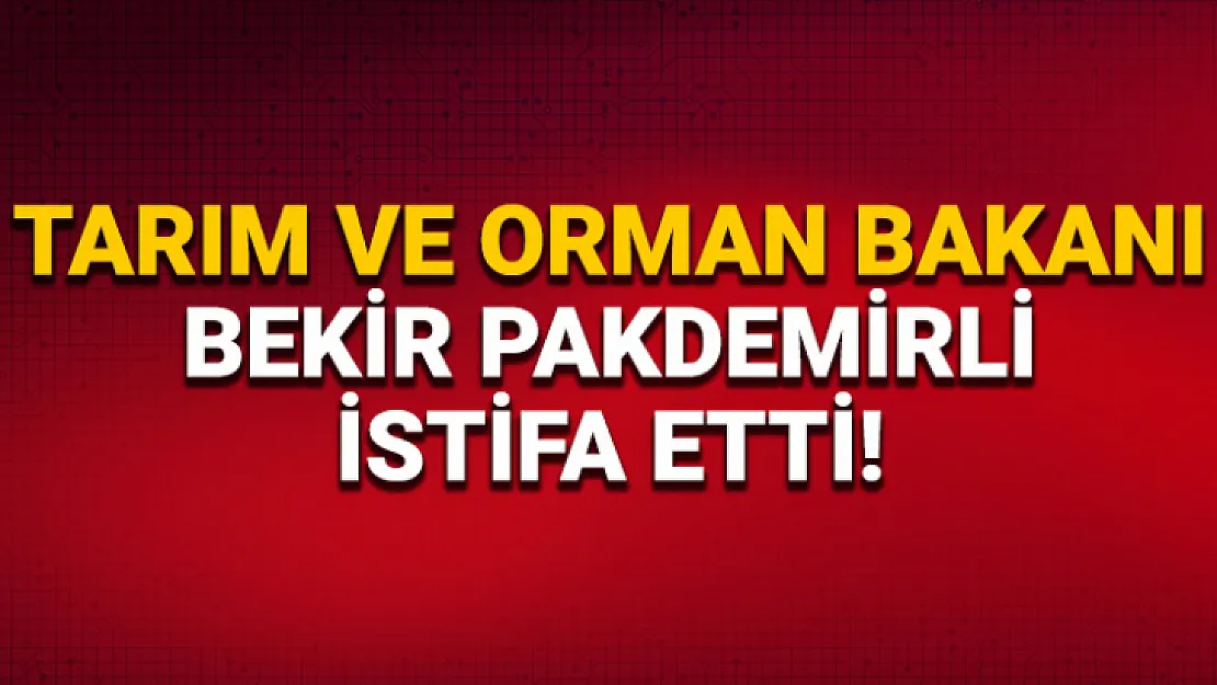 Tarım ve Orman Bakanı Bekir Pakdemirli istifa etti