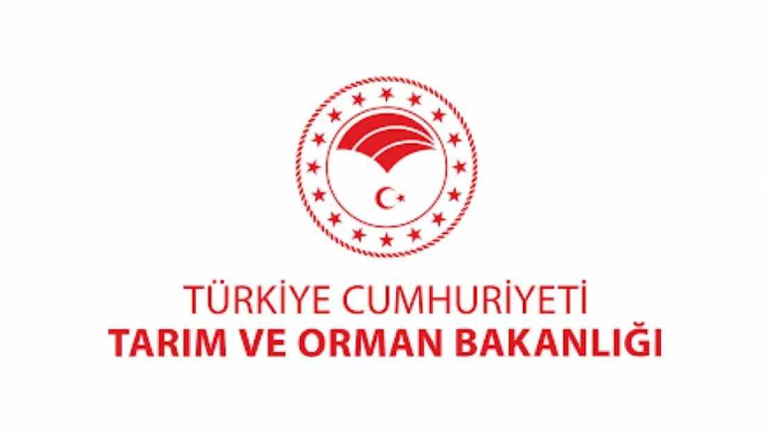 Tarım ve Orman Bakanlığı 8.500 Personel Alımı Yapacak: Kadro ve Branşlar Belli Oldu