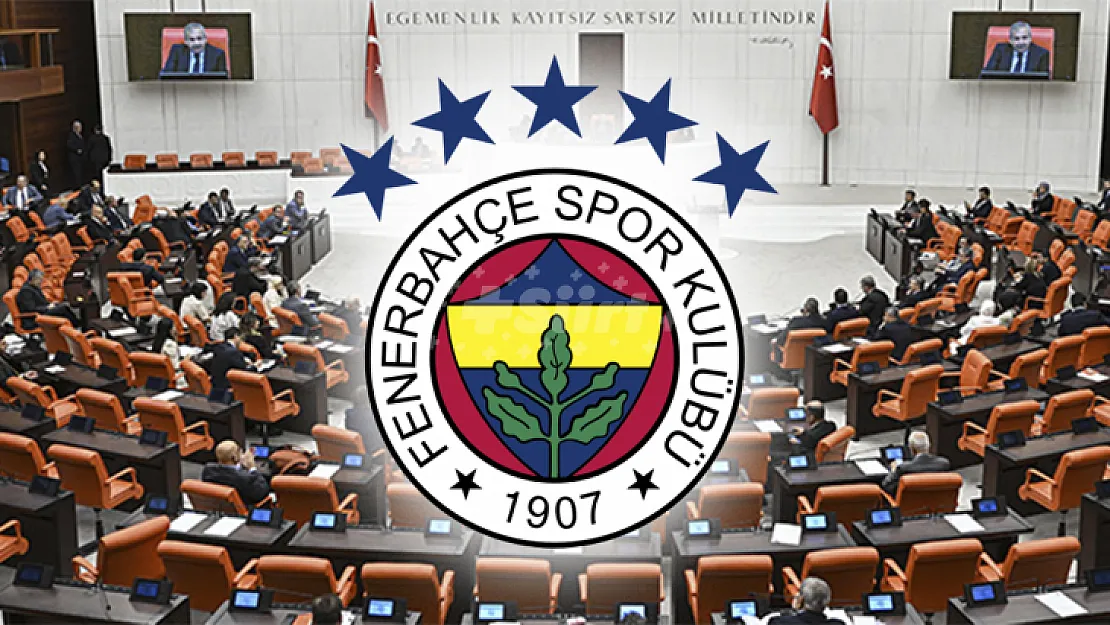 TBMM'ye ilginç başvuru! 'Fenerbahçe'nin saha dizilişi değiştirilsin'