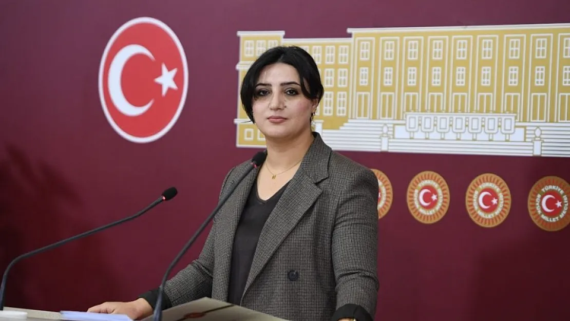TBMM'ye Siirt Milletvekili Sarıtaş Hakkında Dokunulmazlık Dosyası Sevk Edildi