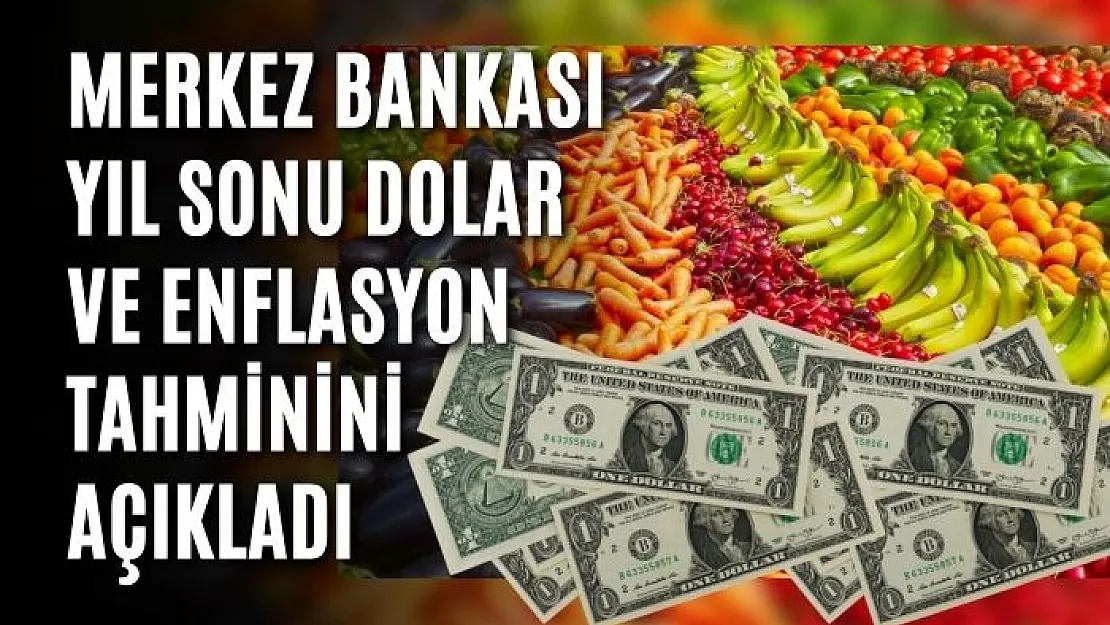 Merkez Bankası yıl sonu dolar ve enflasyon tahminini açıkladı