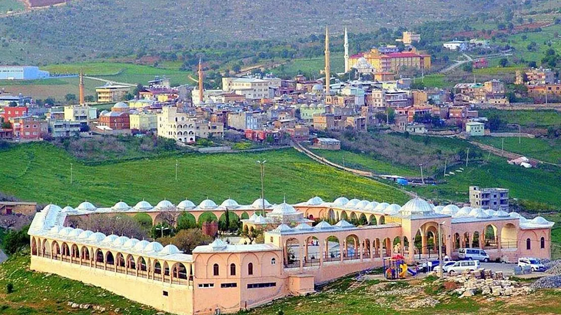 Tillo'da Haşere Sorunu Büyüyor: Halk İlaçlama Çalışmalarının Artmasını İstiyor