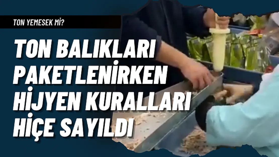 Ton balıkları paketlenirken hijyen kuralları hiçe sayıldı