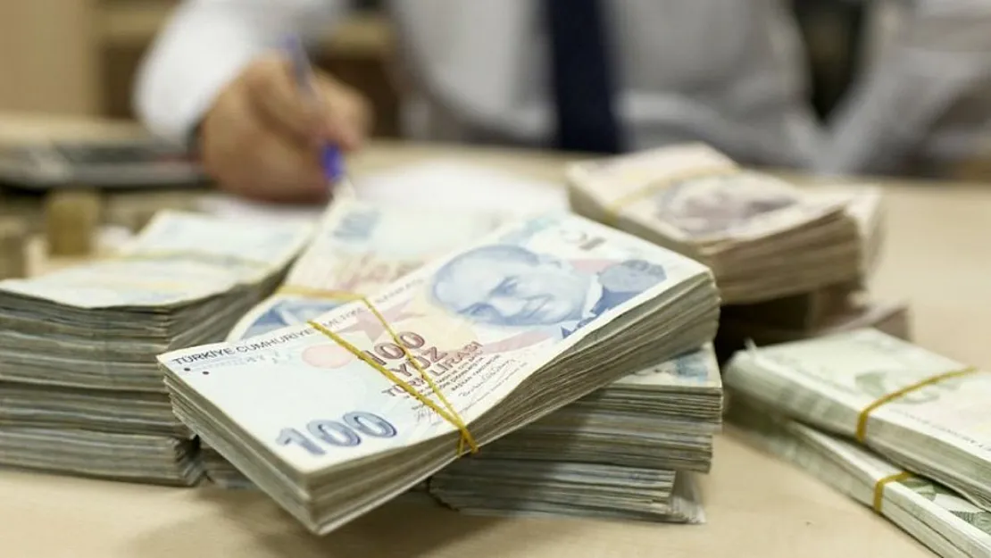 Türkiye borçları nedeniyle 2025'te her gün 5,4 milyar lira faiz ödeyecek