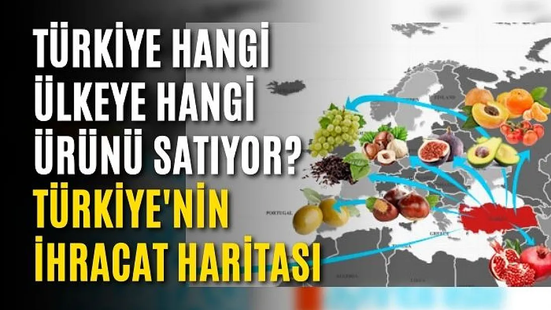 Türkiye hangi ülkeye hangi ürünü satıyor? Türkiye'nin ihracat haritası