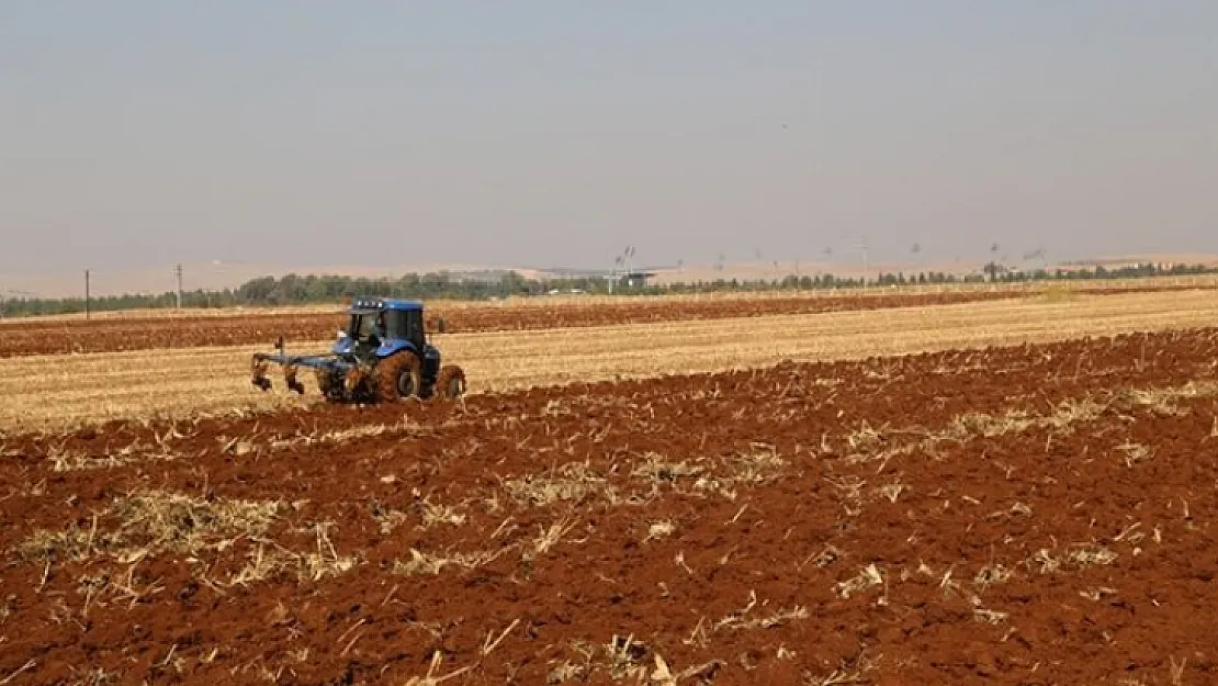 Türkiye için tehlike çanları: Çiftçi sayısı 500 binin altına düştü