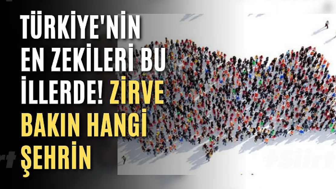 Türkiye'nin en zekileri bu illerde! Zirve bakın hangi şehrin