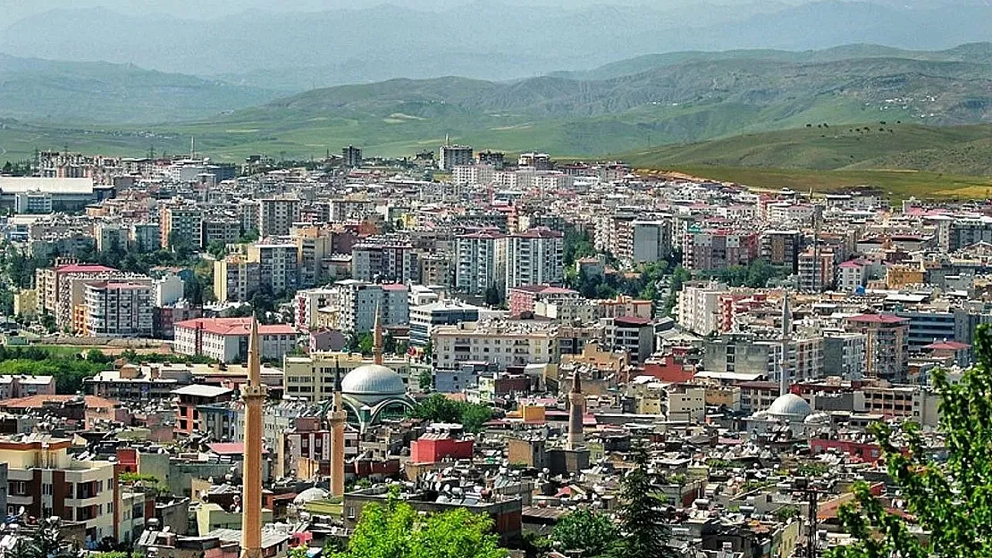 Türkiye'nin Siirt Haritası: En Çok Siirtli Hangi İlde Yaşıyor, En Azı Nerede?