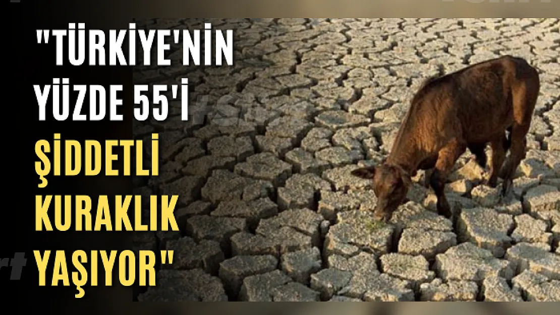 'Türkiye'nin yüzde 55'i şiddetli kuraklık yaşıyor'