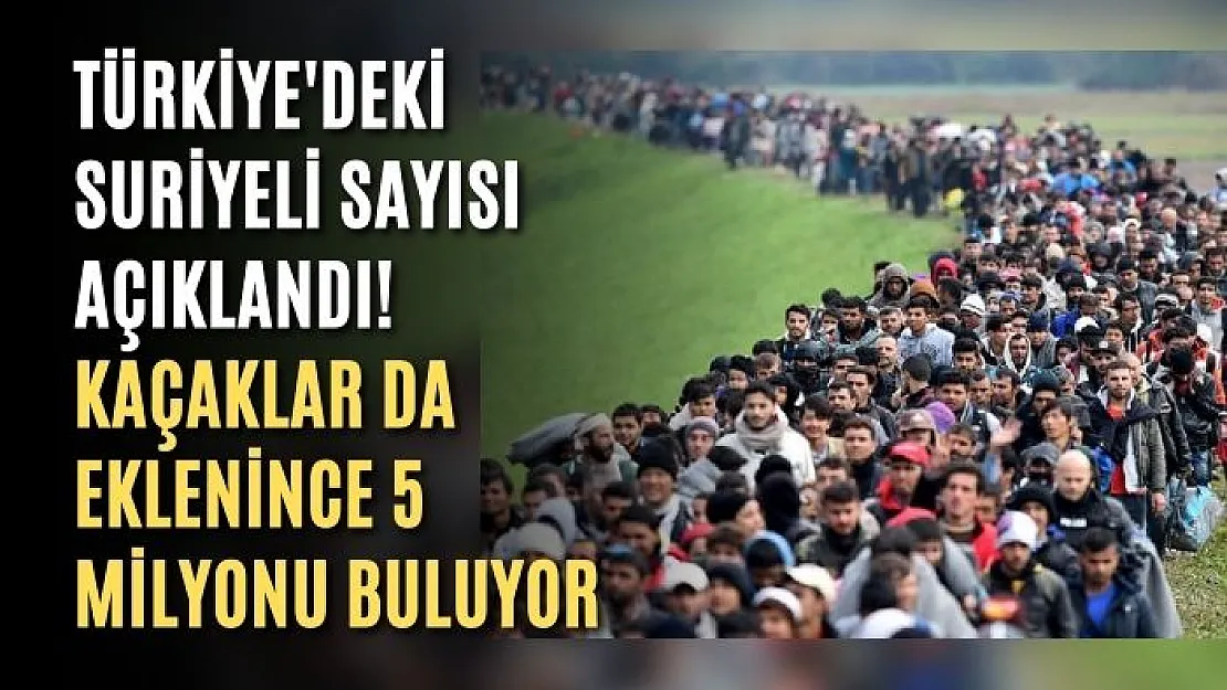 Türkiye'deki Suriyeli sayısı açıklandı! Kaçaklar da eklenince 5 milyonu buluyor