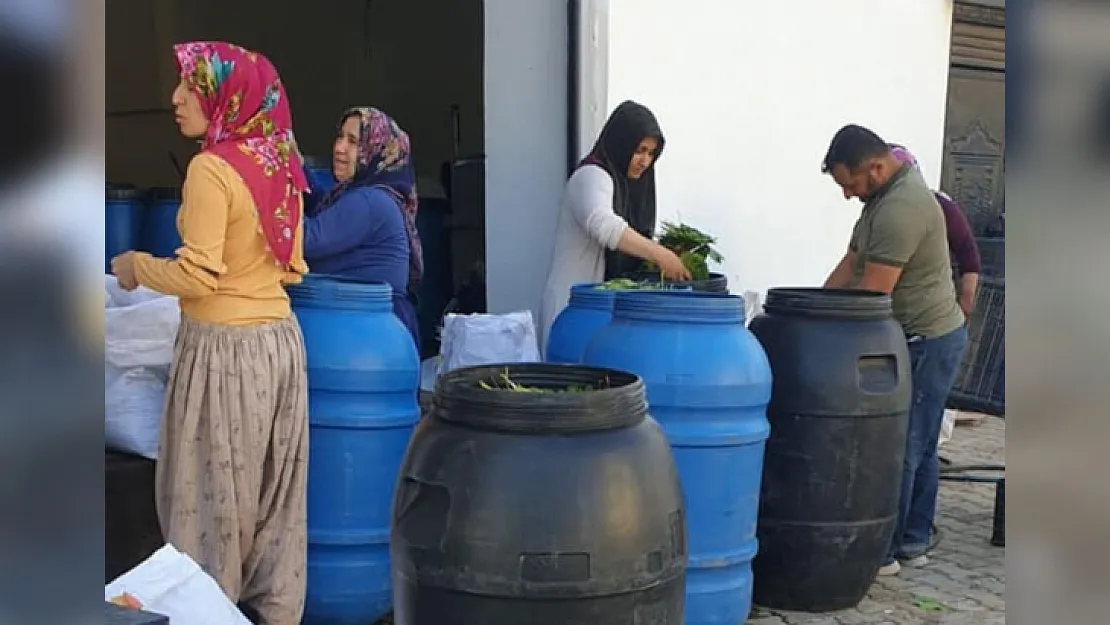 'Üreten Eller Kadın Kooperatifi' ile Siirt'te Yeni Bir Marka Kuruluyor