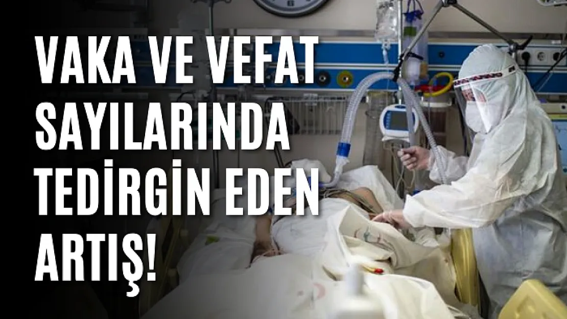 Vaka ve vefat sayılarında tedirgin eden artış!