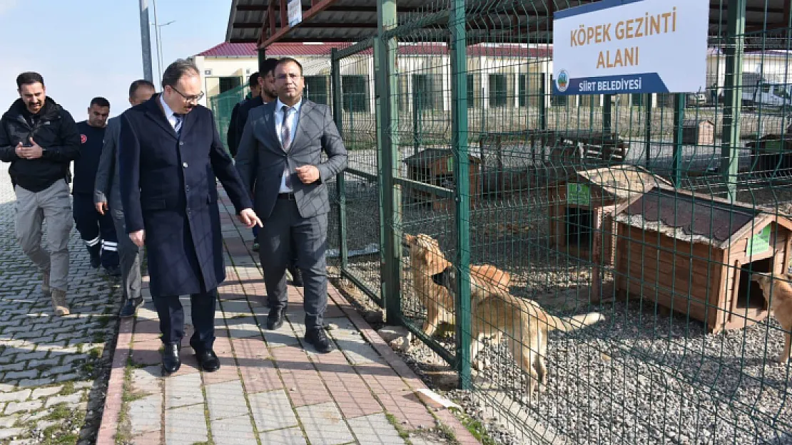 Vali Dr.Kızılkaya, Sokak Hayvanları Bakım ve Rehabilitasyon Merkezi'nde İncelemelerde Bulundu