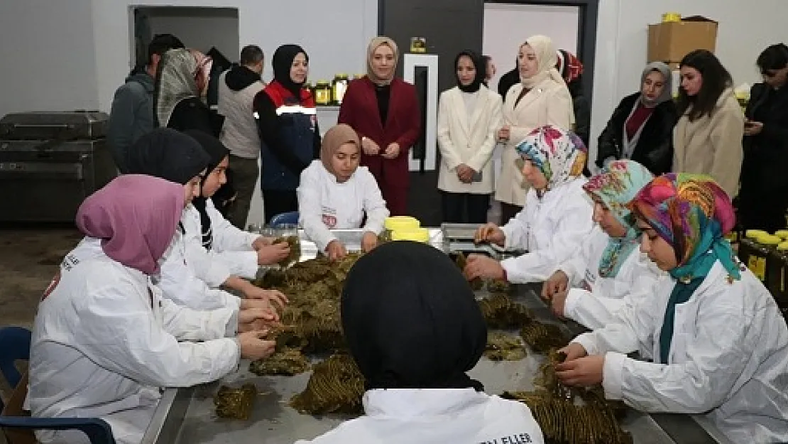 Vali Eşi Nurten Kızılkaya'dan Kadın Kooperatifi'nin Salamura Yaprak Tesisi'ne Destek Ziyareti