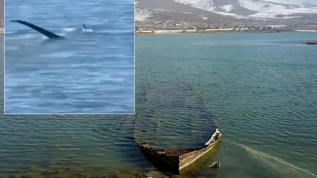 Van Gölü Canavarı İddiası Yeniden Gündemde! Siirtlilerin de Uğrak Mekanı