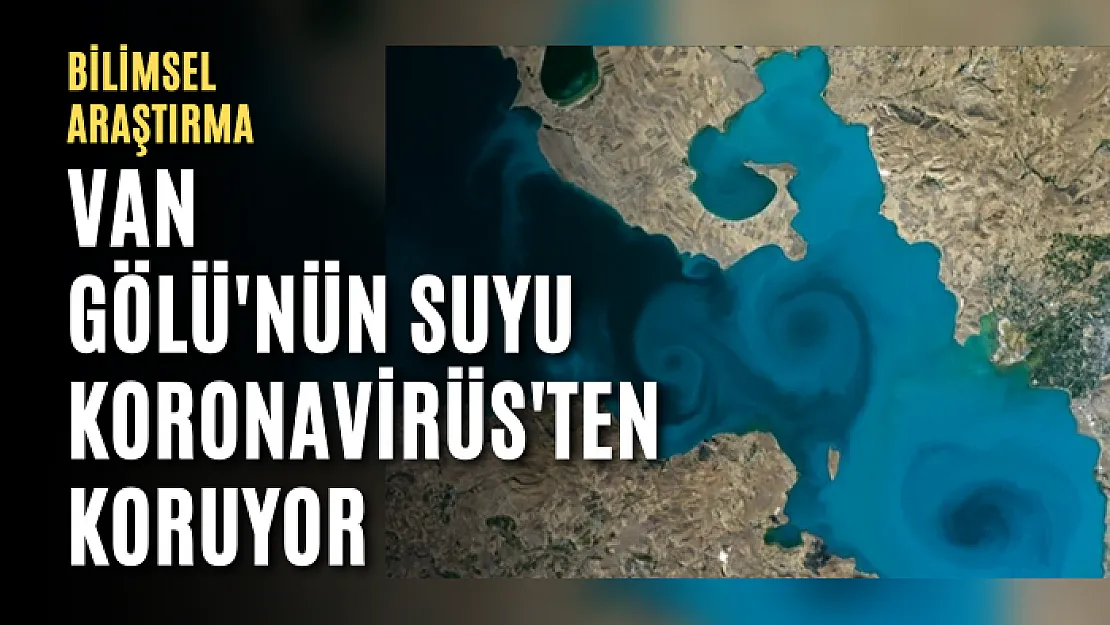 Van Gölü'nün Suyu Koronavirüs'ten Koruyor