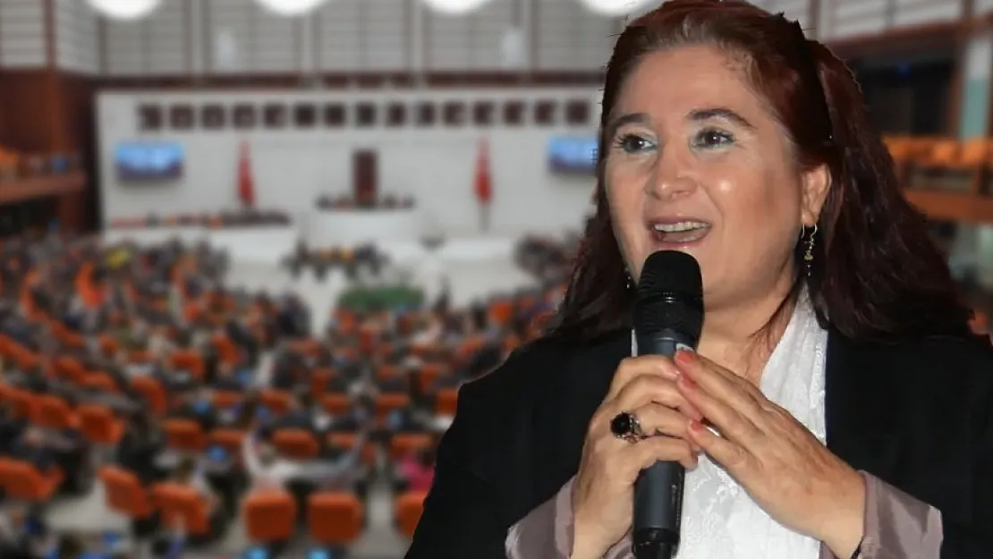 Vekiller Trafik Ayrıcalıklarının Duyulmasından Rahatsız | Sabahat Akkiraz'a Milletvekillerinden Tepki: ''Halk Olmadıktan Sonra Önemli Değil''