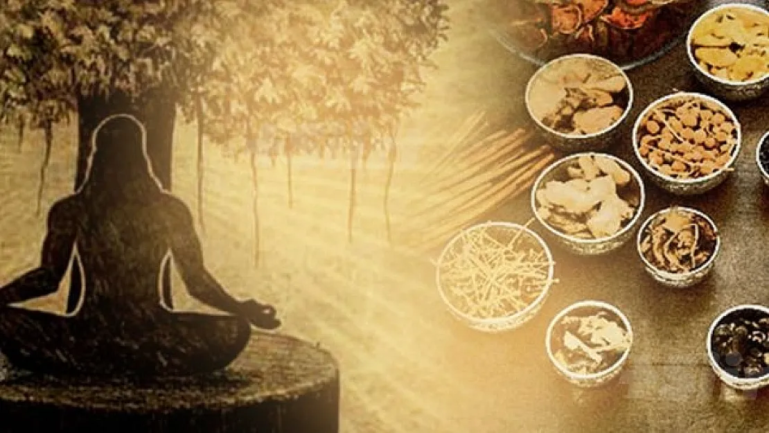 Ayurveda nedir?