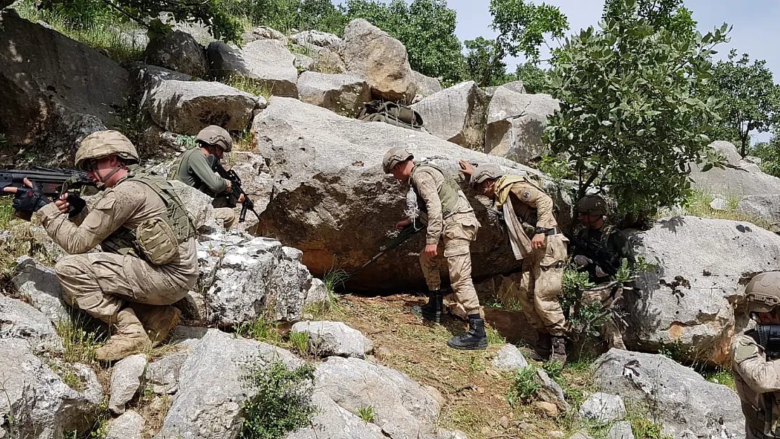 Siirt'te silah ve mühimmatlar ele geçirildi