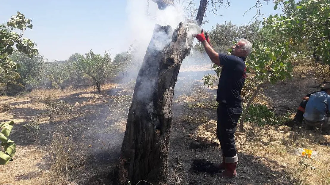 Siirt'te 4 Bağda Çıkan Yangında 200 Dönüm Alan Yandı