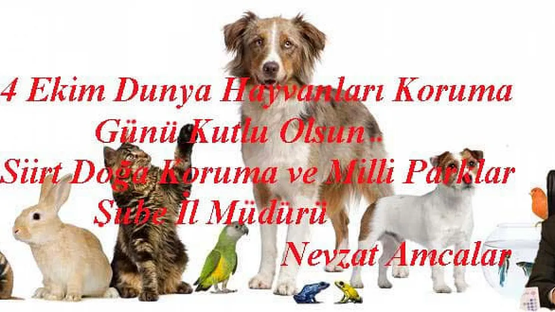 4 Ekim Hayvanları Koruma Günü