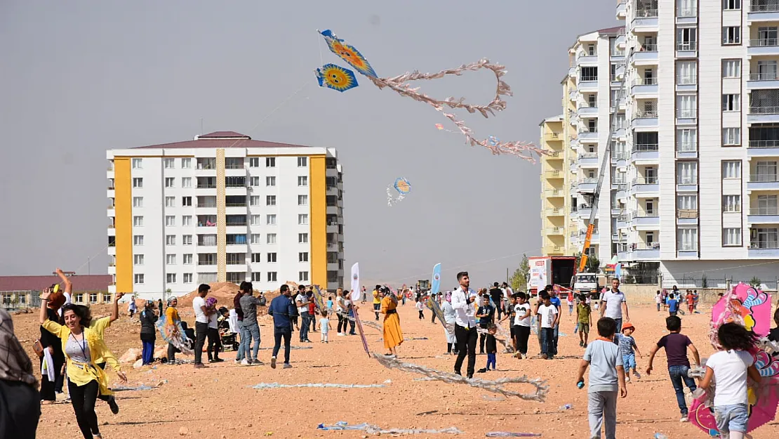 Siirt'te uçurtma şenliği