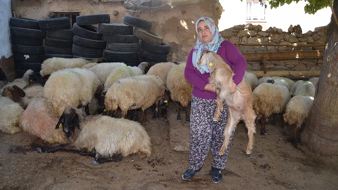 Siirtli Kadın Çiftçi Türkiye 2. Oldu, 17 Bin Lira Kazandı