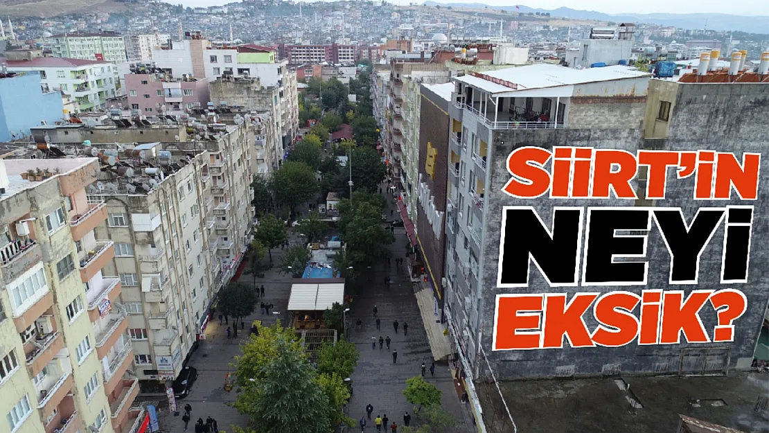 Siirt'in Neyi Eksik?