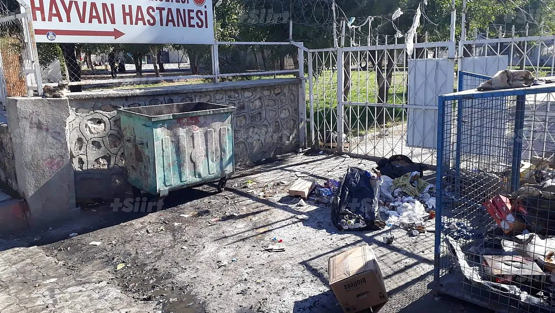 Siirt'te Binlerce Öğrencinin Geçtiği Caddeye de Bakın!